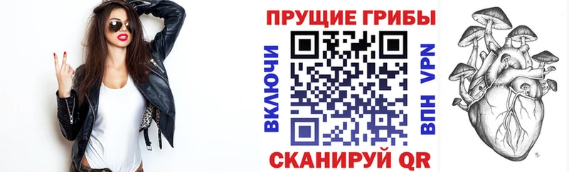 Купить где Избербаш Галлюциногенные грибы мухоморы